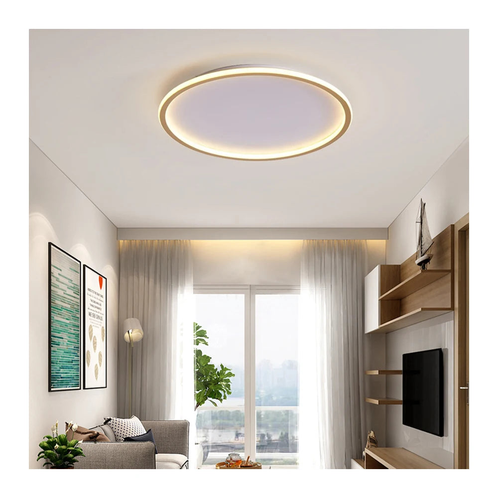 Home Decoration Ceiling Led Room Light Minimalism round Lamp Modern Livingroom Fixtures