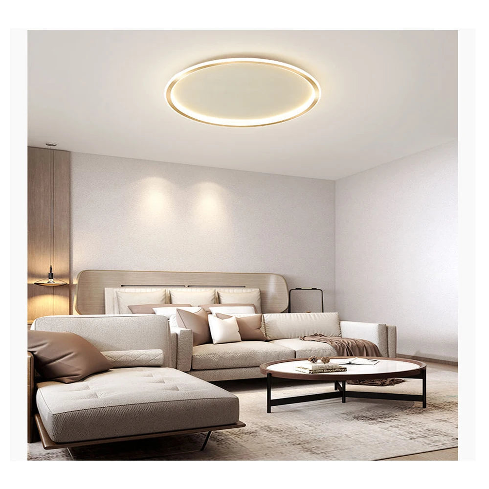 Home Decoration Ceiling Led Room Light Minimalism round Lamp Modern Livingroom Fixtures